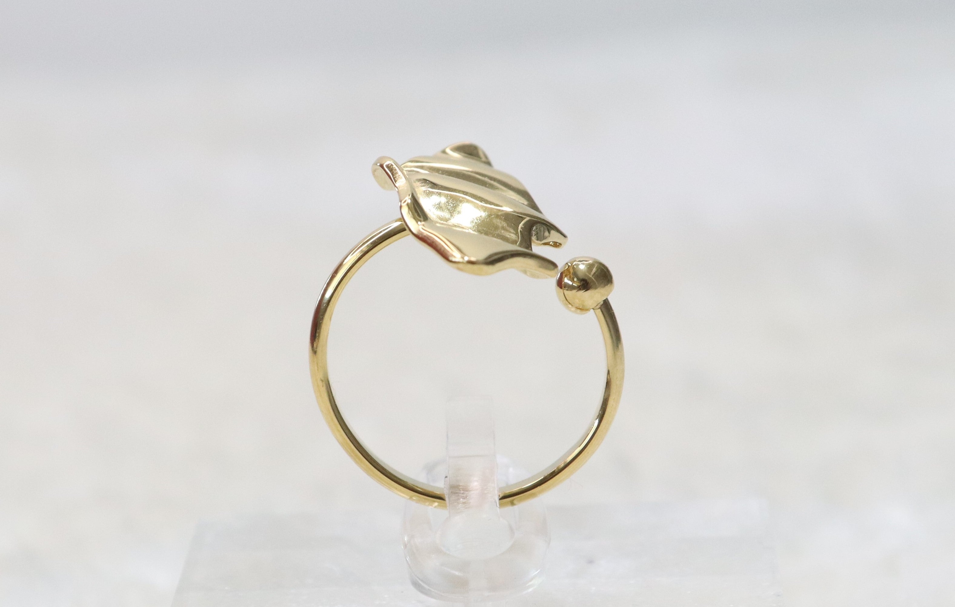 Anyah - Bague en acier inoxydable